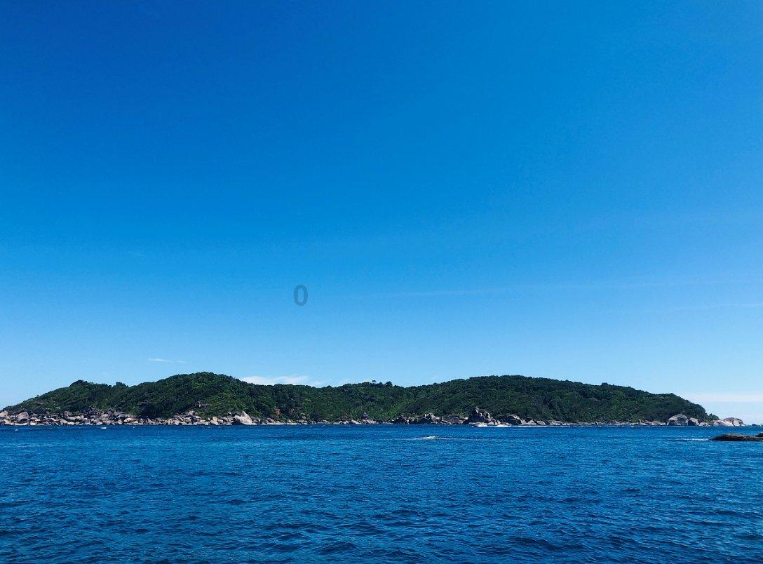 深入了解新手怎么要选择猫粮?-无锡合泽不锈钢有限公司